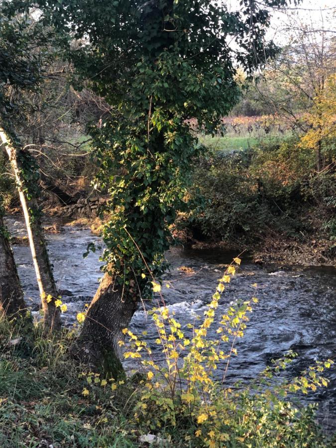Au Petit Paradis La Roquebrussanne Eksteriør bilde